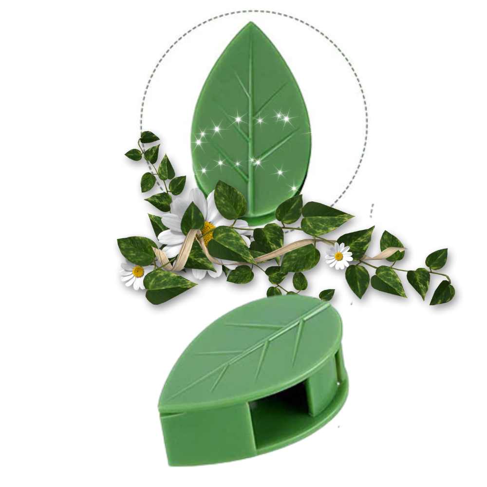 Lot de 20 attaches adhésives en forme de feuille
