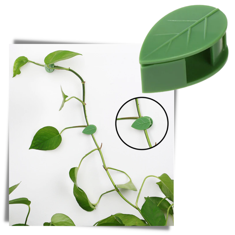 Lot de 20 attaches adhésives en forme de feuille