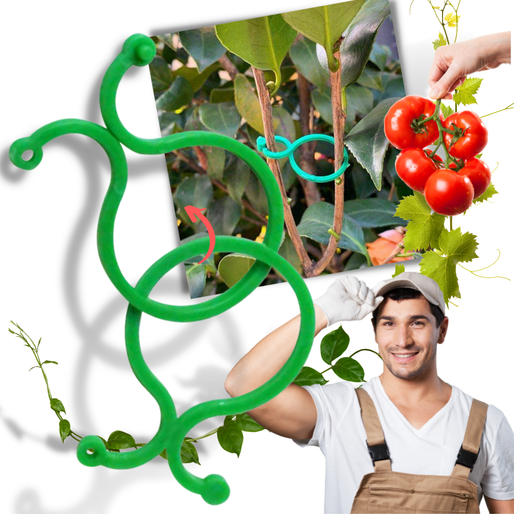 Lot d'attaches pour plantes de jardin