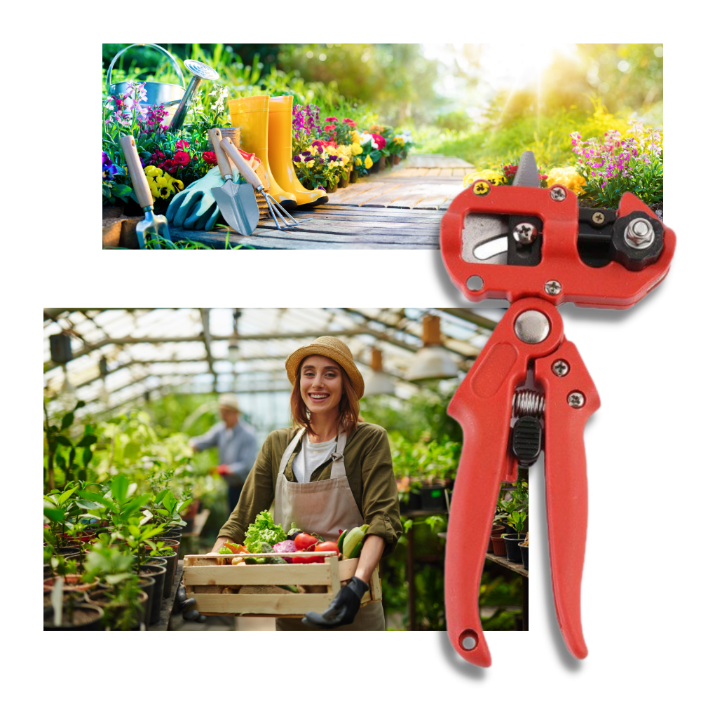 Sécateur de jardin et outil de greffage