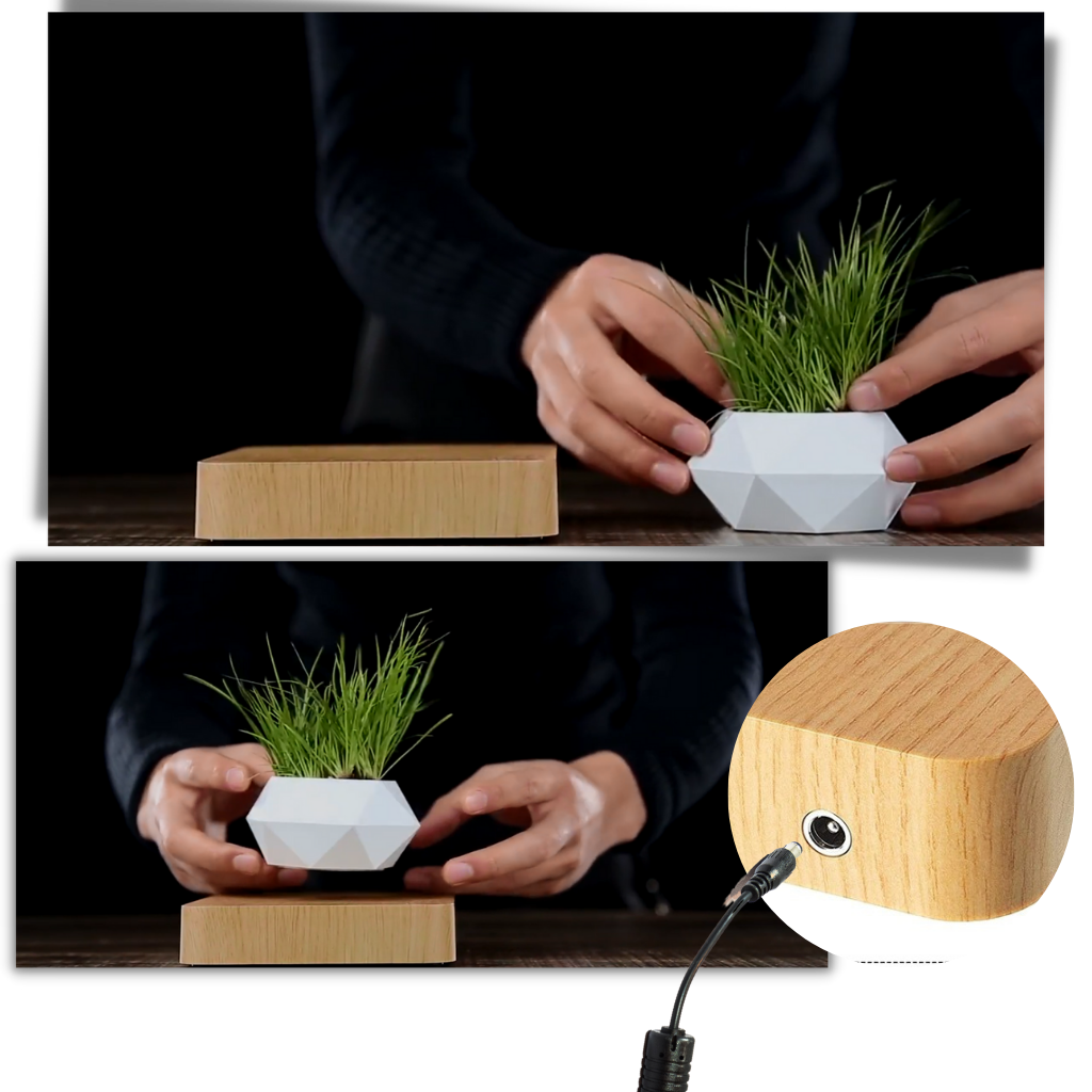 Pot à plante flottant en lévitation