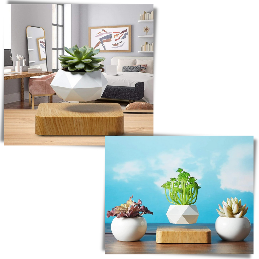 Pot à plante flottant en lévitation