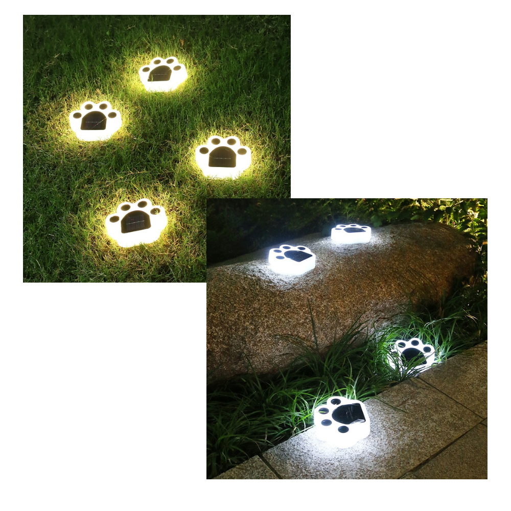 Lumière de chemin en forme d'empreinte de patte à énergie solaire