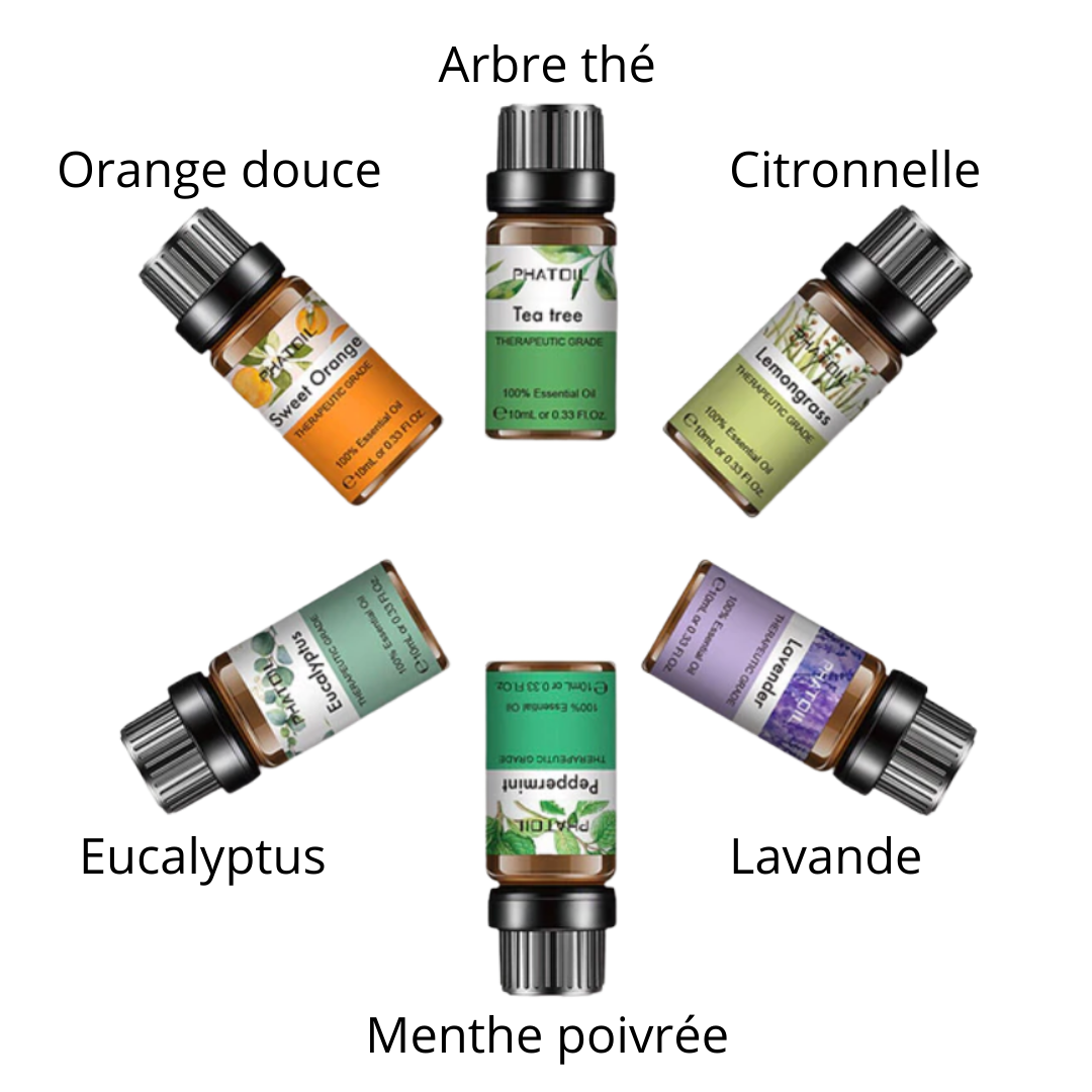 Pack de 6 huiles essentielles