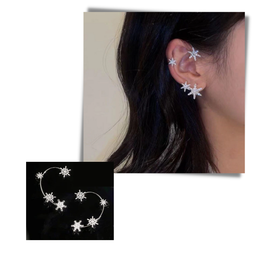 Paire de boucles d'oreilles à clip en zircone