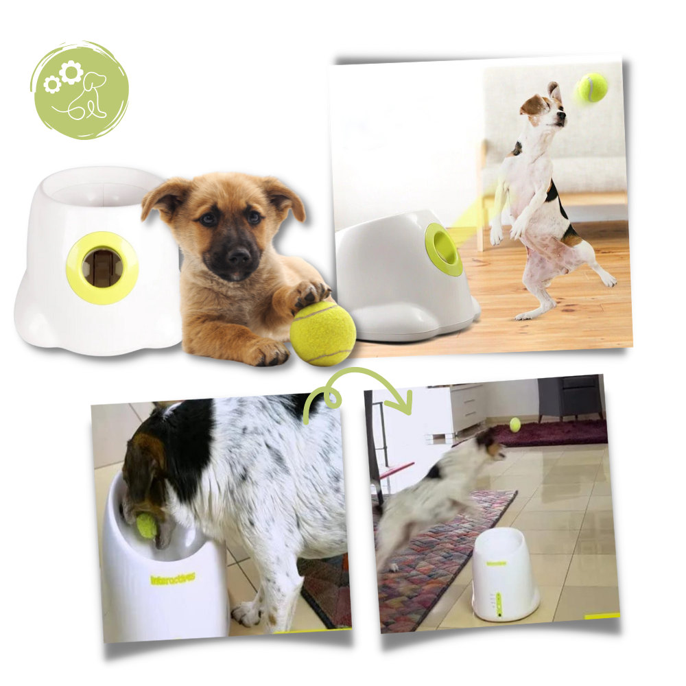 Automatic Dog Ball Launcher