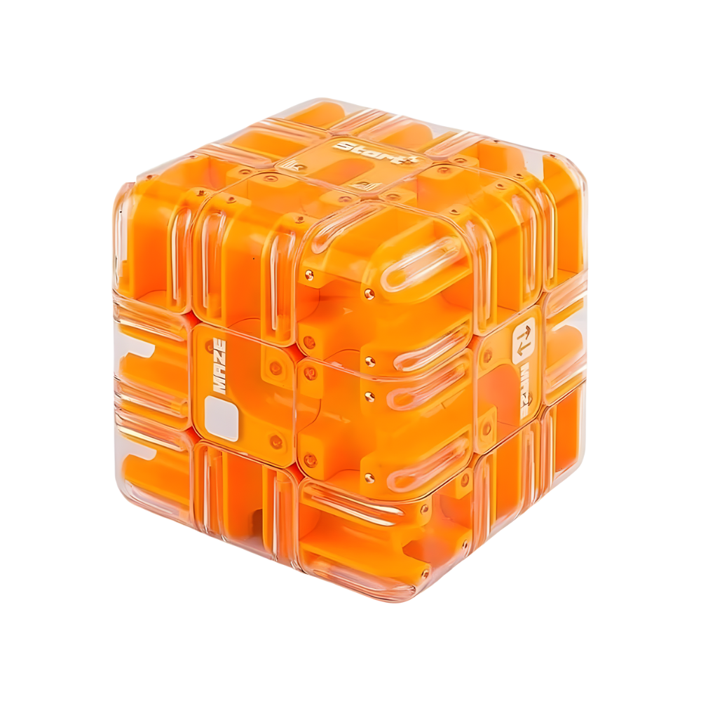Brain Builder Maze Cube