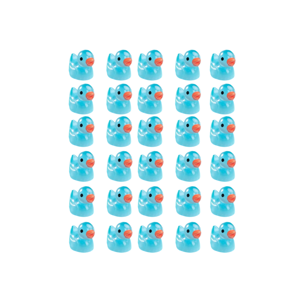 Cute Duck Challenge Toy