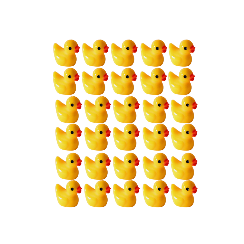 Cute Duck Challenge Toy