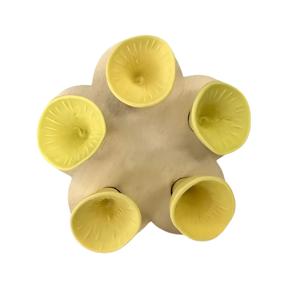 Discreet Attractive Color Bee Cup