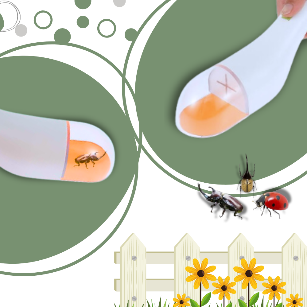 HD Viewing Insect Trap