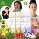 Herbal Mullein Stick Inhaler