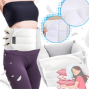 Ice Silk Back Support Brace