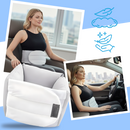 Ice Silk Back Support Brace