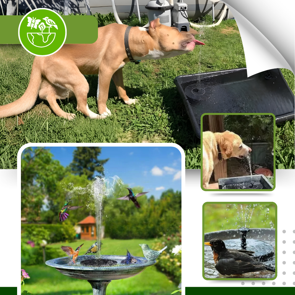 Fontaine solaire flottante de jardin
