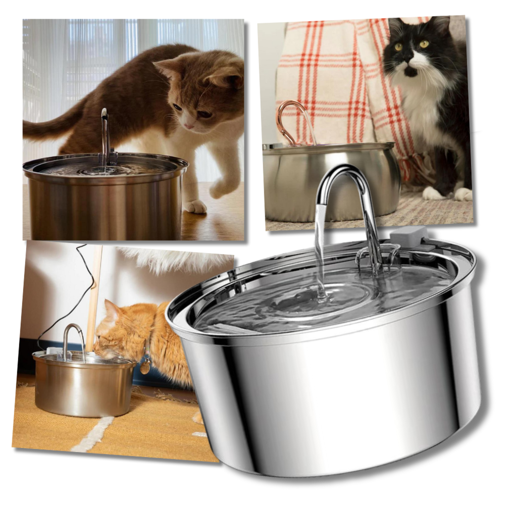 Large Capacity Cat Drinking Fountain