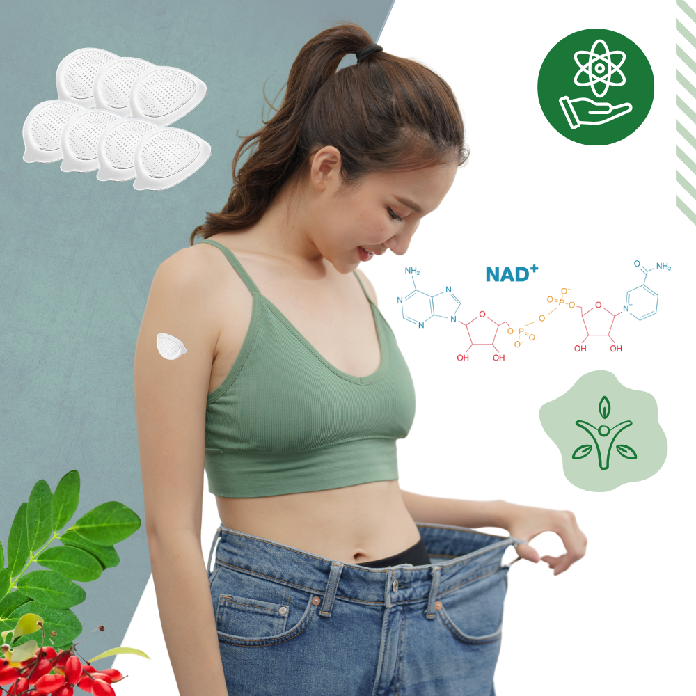 Patchs Microneedle au Moringa