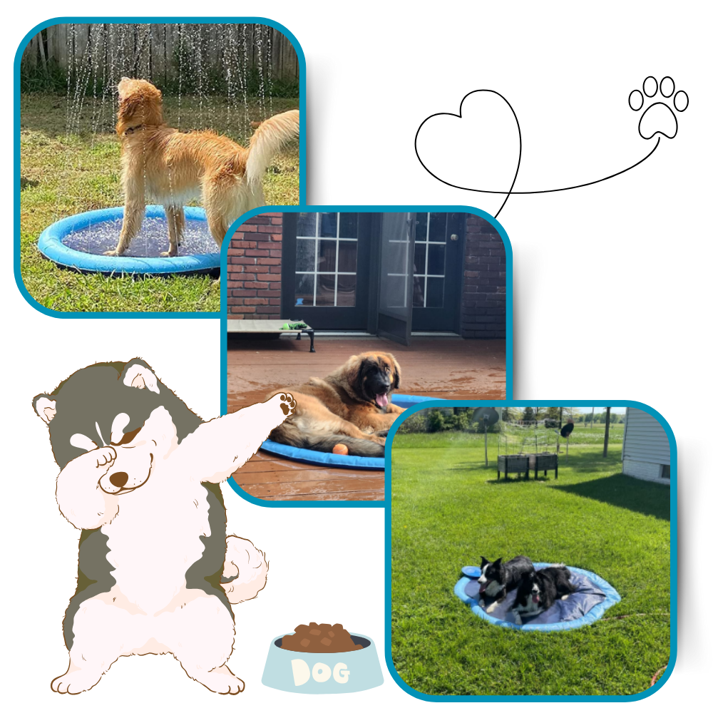 Portable Dog Splash Pad