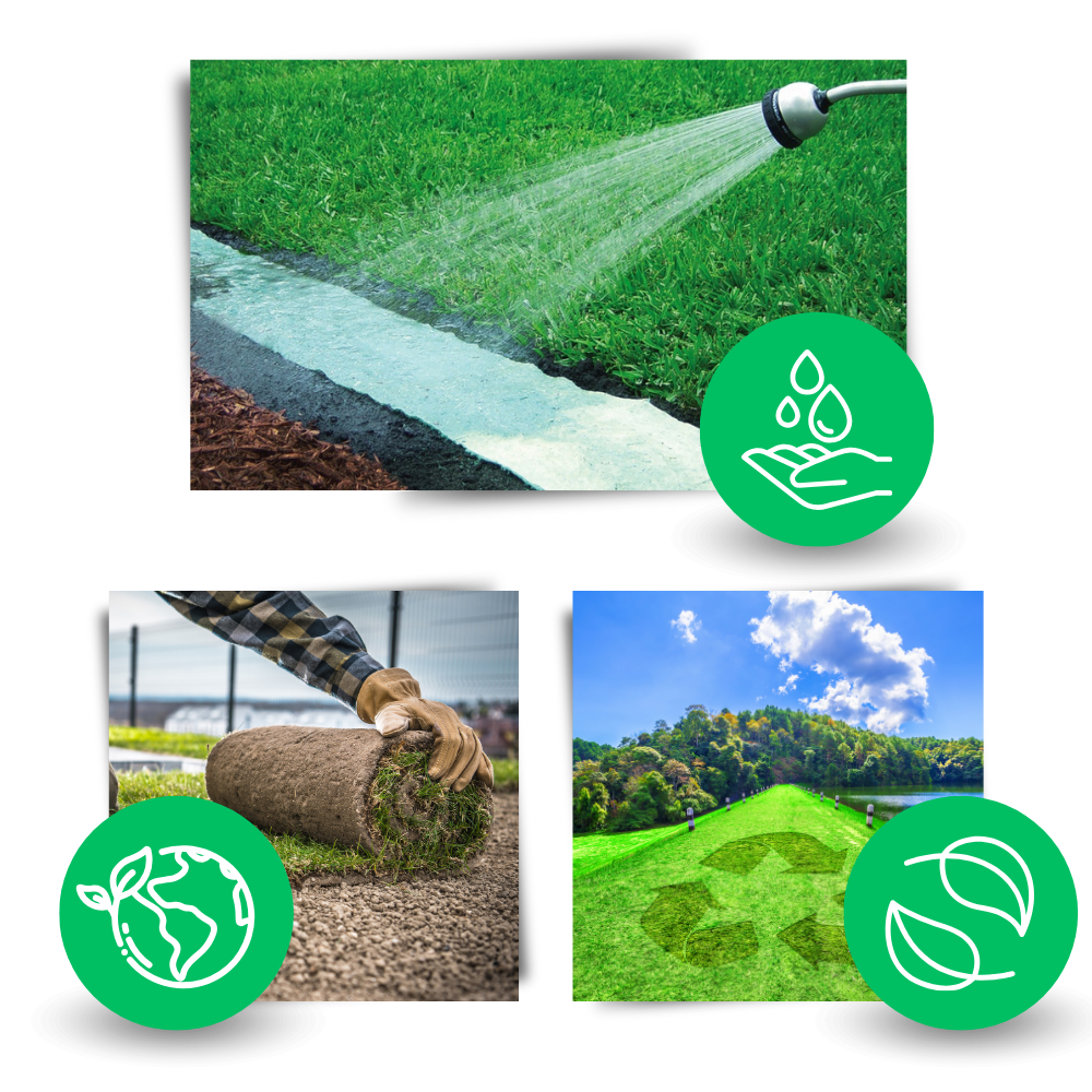 Tapis de semences de gazon vert à fixation rapide