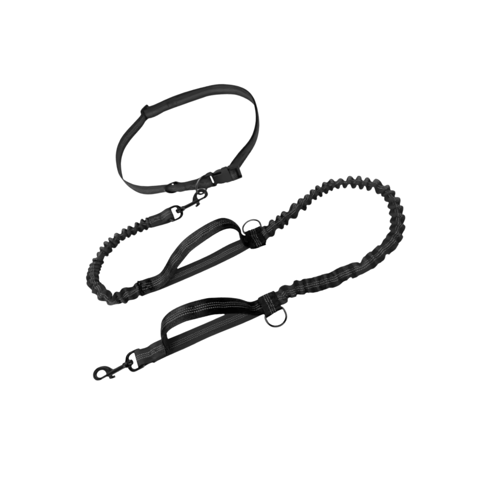 Secure & Ergonomic Dog Waist Leash