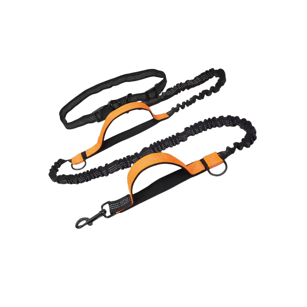 Secure & Ergonomic Dog Waist Leash