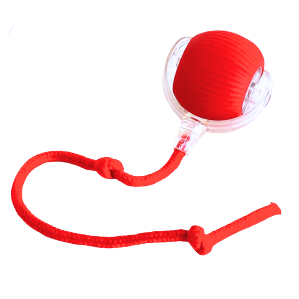 Smart Interactive Cats Ball Toy