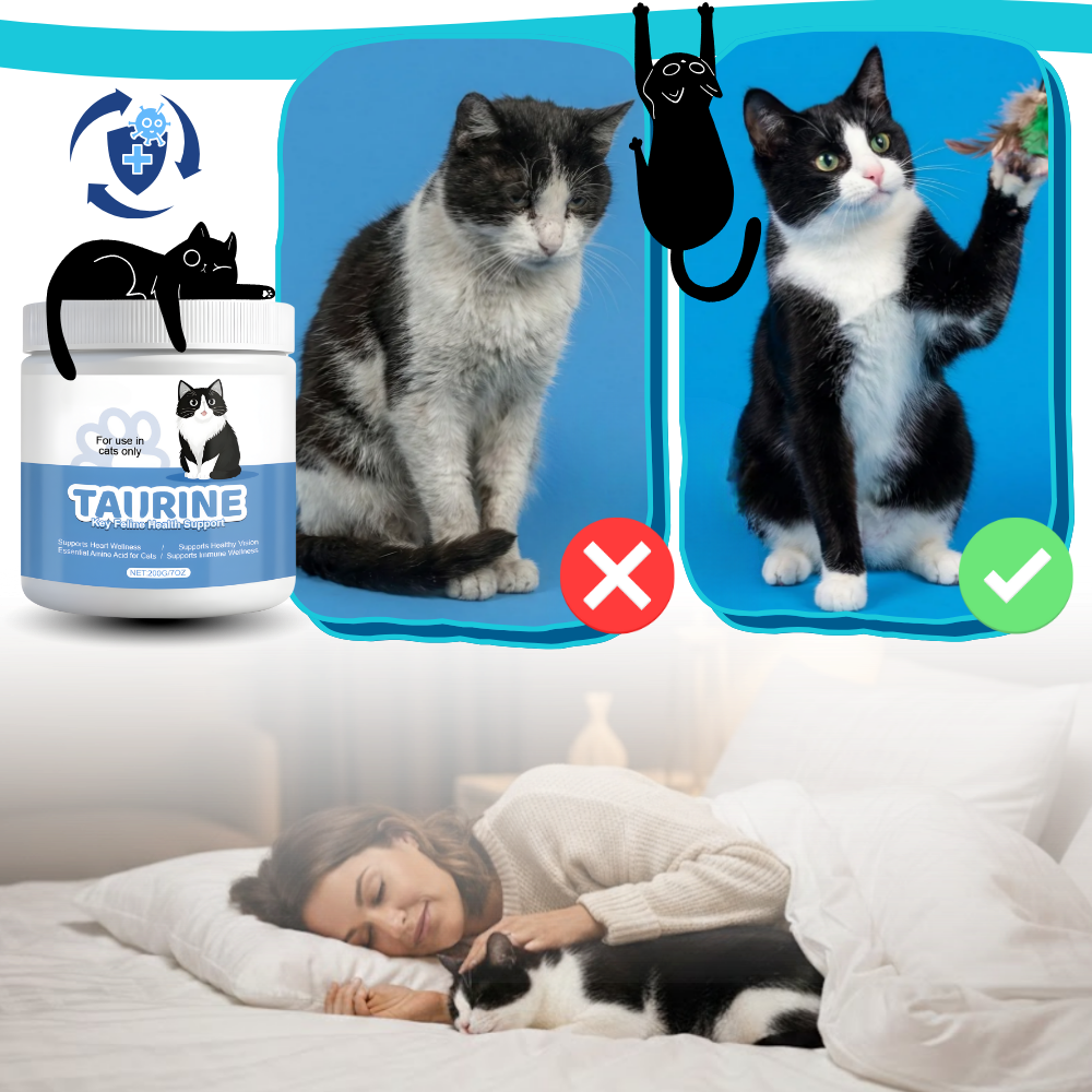 Taurine Cat Support Supplement