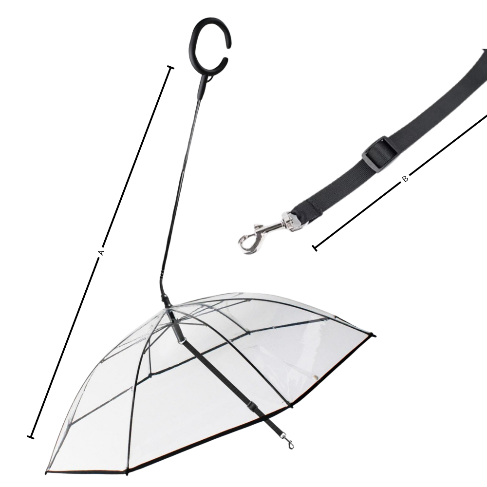 Laisse parapluie transparente pour chien